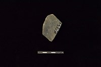 陶片藏品圖，第2張